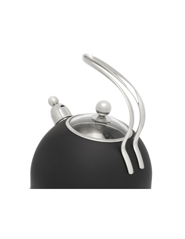 Bredemeijer fluitketel 2,5L. mat zwart