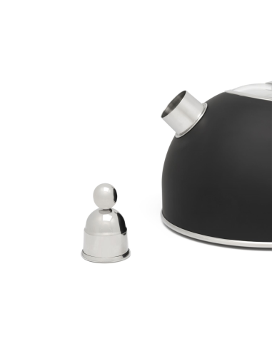 Bredemeijer fluitketel 2,5L. mat zwart