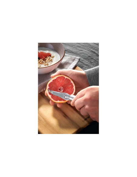 CHEFS&CO Grapefruit Mes