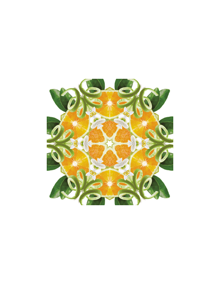 Parfum 1000 ml Zeste d'Orange Verte