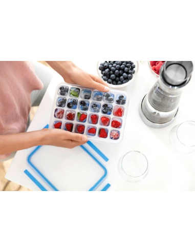 Emsa Clip&Close IJsblokjesvorm 2.0 24-gats