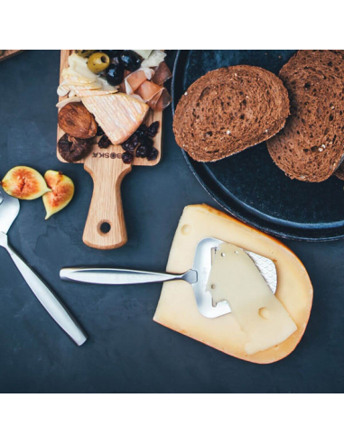 De Allerbeste Kaasschaaf volledig RVS