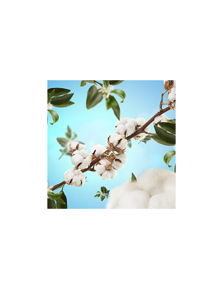 Parfum Berger Parfumverspreider Caresse de Coton