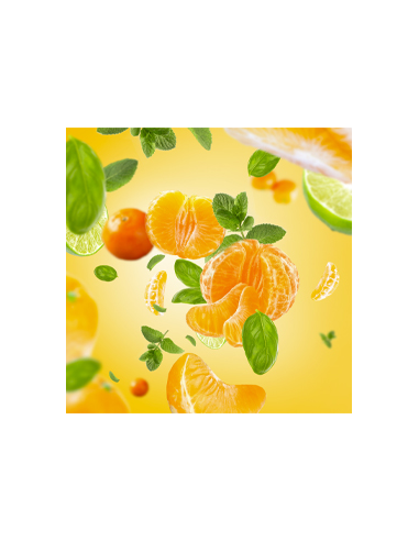 Parfum 500 ml  Mandarin Aromatique