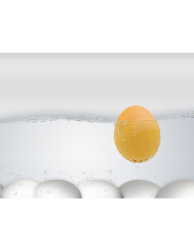 PiepEi Happy Birthday