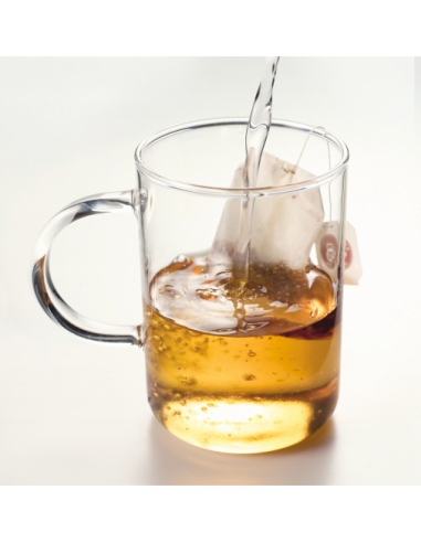 Leonardo Theeglas Novo 320ml