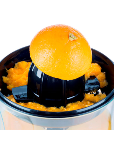 KR Citruspers Classic RVS