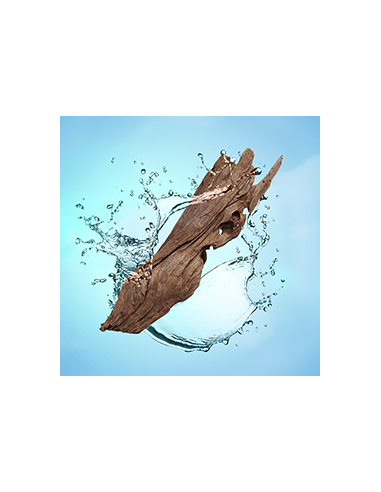 PB Cube Startset Bois d'Eau