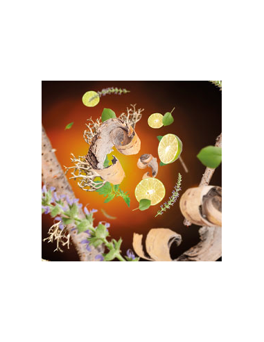 Parfum Berger 125 Ans Noire