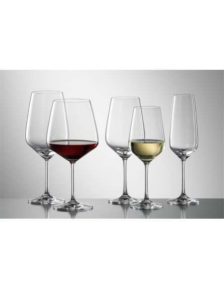 Schott Taste Champagne met MP