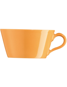 Arzberg Tric Orange theekop los