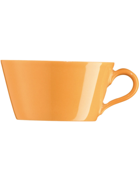 Arzberg Tric Orange theekop los