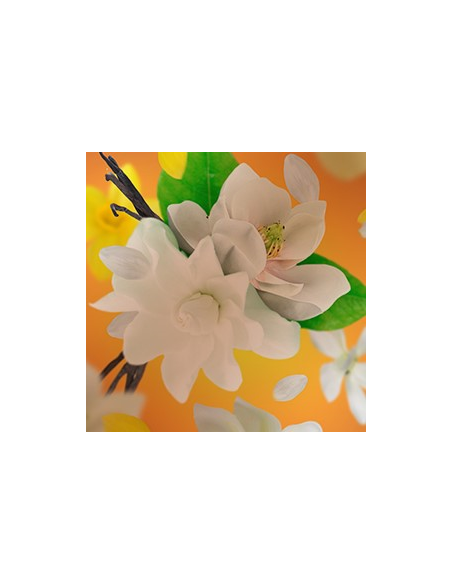 Parfum 500 ml Soleil Divin