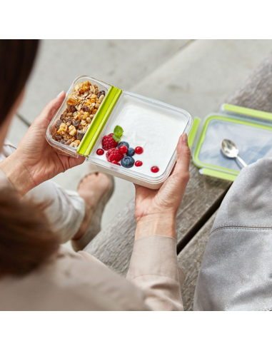 Emsa Clip&Close Yoghurtbox 0,6 L.