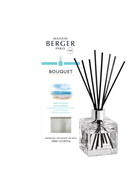 Parfum Berger parfumverspreider Cube Vent d'Ocean