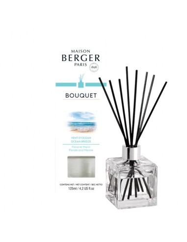 Parfum Berger parfumverspreider Cube Vent d'Ocean