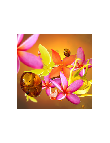 Parfum Berger Cube Soleil d'Ambre