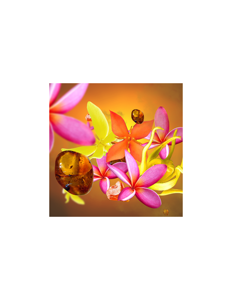 Parfum Berger Cube Soleil d'Ambre