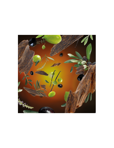 Parfum Berger Alpha Prune Scandale