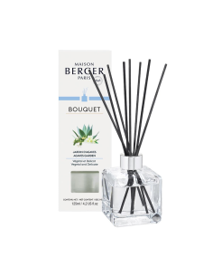 PB Cube Startset Jardin d'Agaves