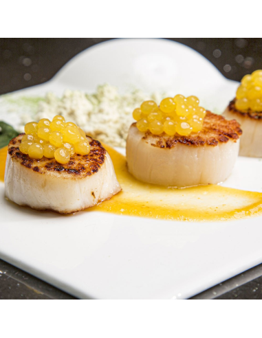 Rommelsbacher Perlino Food Designer