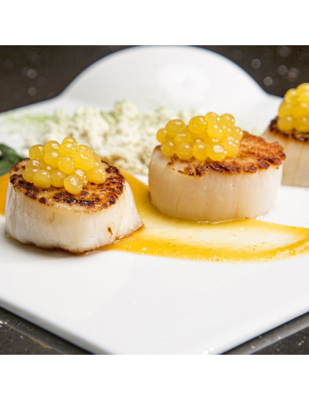 Rommelsbacher Perlino Food Designer