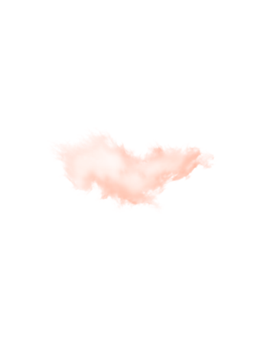 Parfum 1000 ml  Peau de Soie