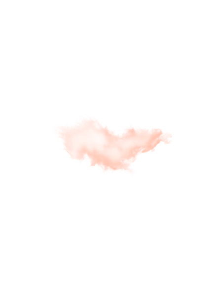Parfum 1000 ml  Peau de Soie