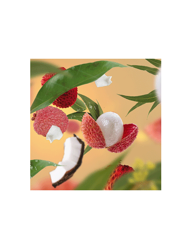 PB Navulling Litchi Paradis 200 ml
