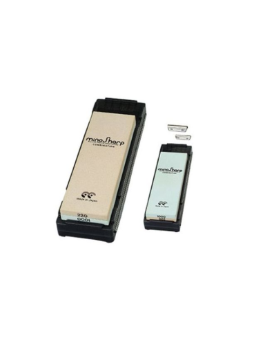 Global Wetsteenkit Combi 220/1000