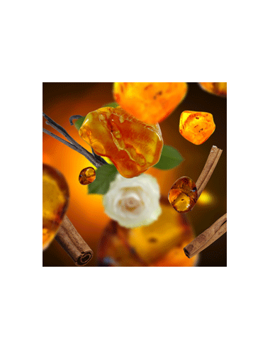 Parfum 500 ml Poussiere Ambre
