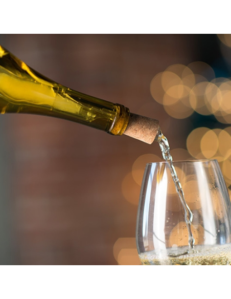 Corkcicle AIR Wijnkoeler, -decanter en -stop