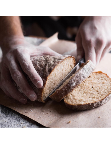 Gastroback Broodbakmachine tot 1kg.