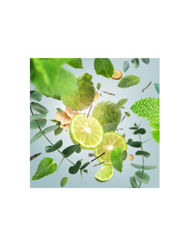 MB Auto Nav. 2x Travel