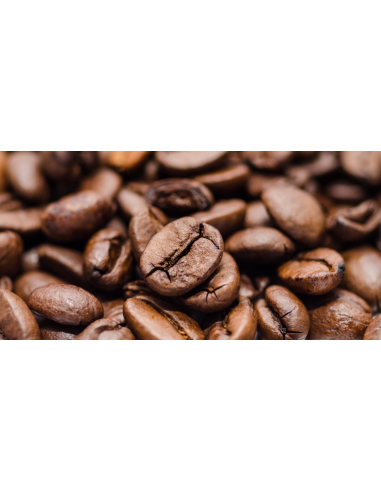 Caffè del Ruscello Arabica Oro Koffiebonen 9 x 1 kg voordeelpack