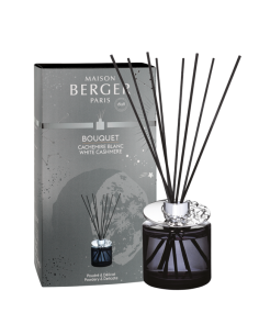 Parfum Berger Astral Gris