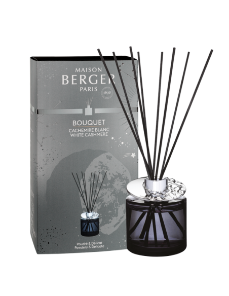 Parfum Berger Astral Gris