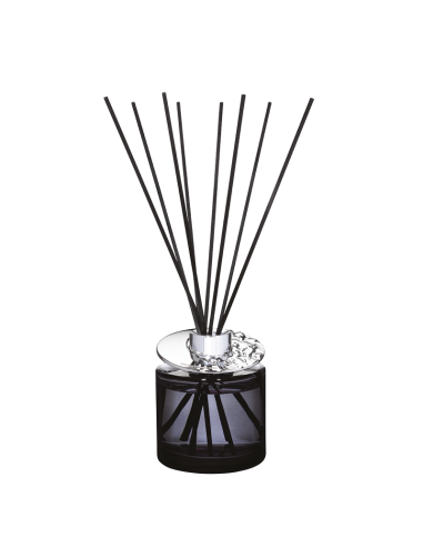 Parfum Berger Astral Gris