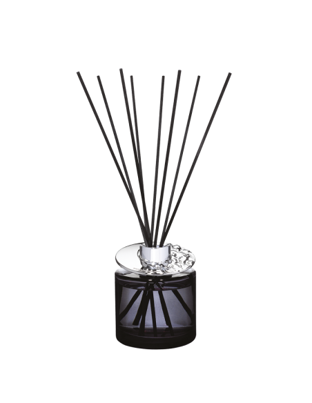 Parfum Berger Astral Gris