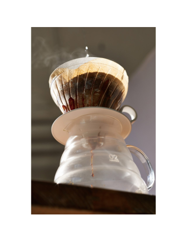 Hario Slow Coffee filterhouder V60 Nr.2