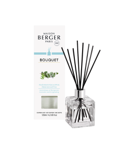 Parfum Berger Cube Startset Eucalyptus
