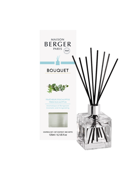 Parfum Berger Cube Startset Eucalyptus