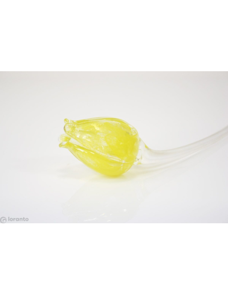 Tulp Glas ca. 50 cm, verschillende kleuren