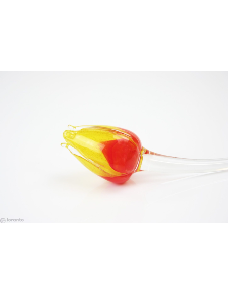 Tulp Glas ca. 50 cm, verschillende kleuren