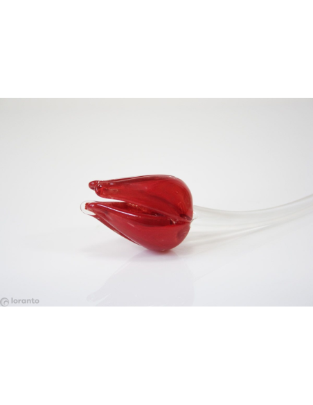 Tulp Glas ca. 50 cm, verschillende kleuren