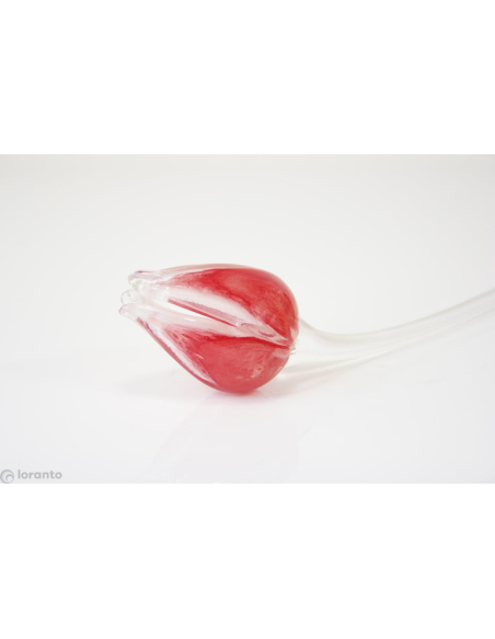 Tulp Glas ca. 50 cm, verschillende kleuren
