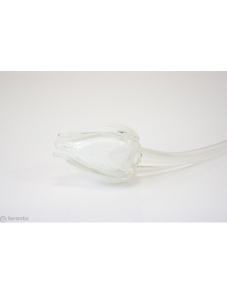 Tulp Glas ca. 50 cm, verschillende kleuren