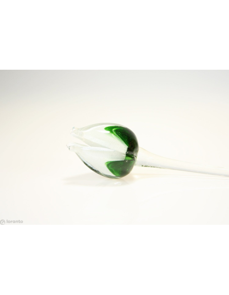 Tulp Glas ca. 50 cm, verschillende kleuren