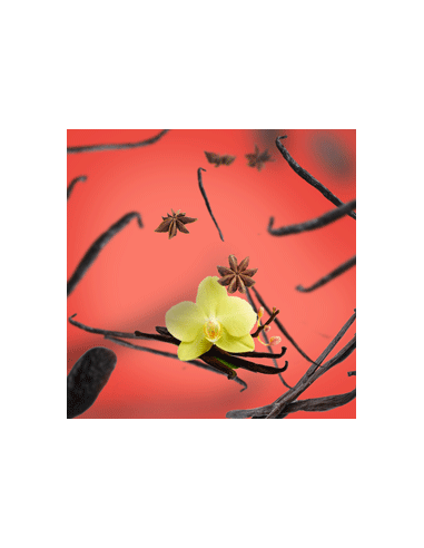 PB Navulling Vanille Gourmet 200 ml