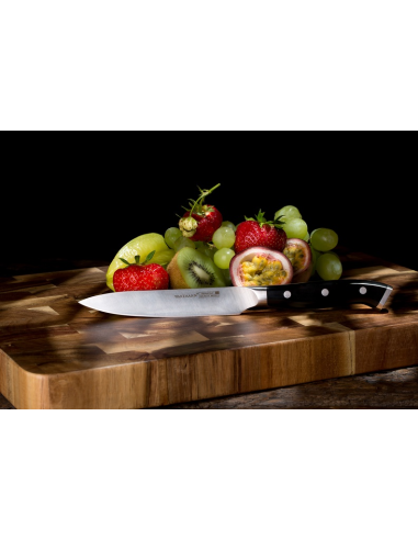 Wartmann Pro Officemes 13 cm